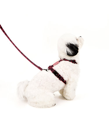 [키니키니XT1]SIGNATURE LOGO HARNESS-BLACK(하네스-H형)