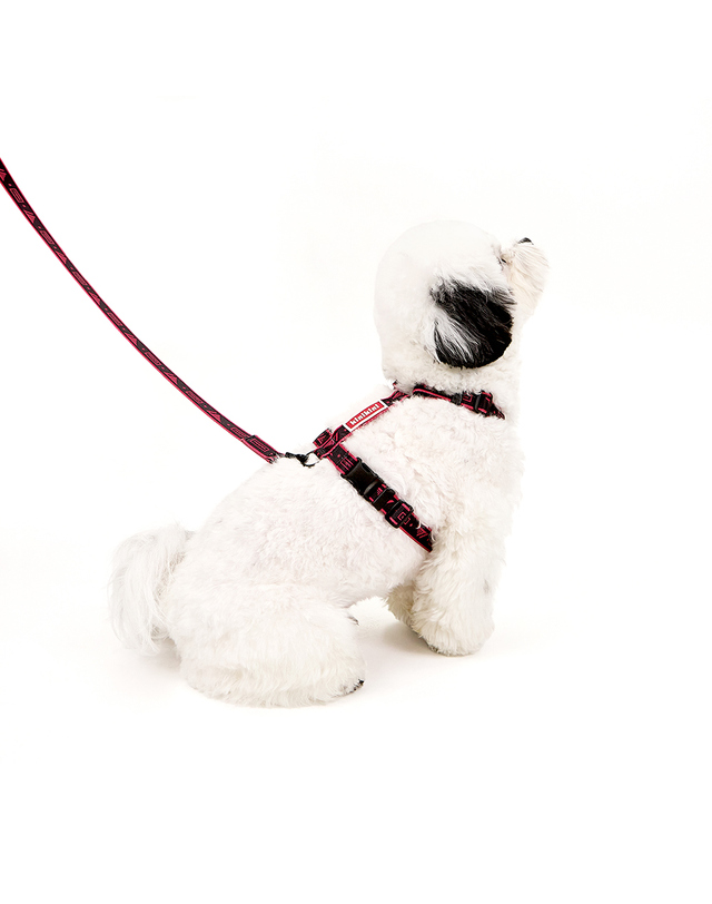 키니키니 [키니키니XT1]SIGNATURE LOGO HARNESS-BLACK(하네스-H형) 착용컷