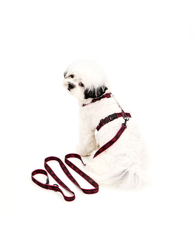 키니키니 [키니키니XT1]SIGNATURE LOGO LEASH-BLACK(리드줄) 착용컷