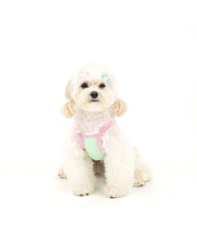 키니키니 [키니키니X어프어프]TWINKLE CHICHI CROP TOP-GREEN(크롭탑) 착용컷