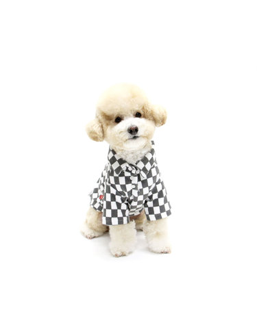 CHECKERBOARD COLLAR TSHIRT-GRAY(카라티)