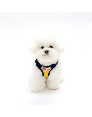 SIGNATURE LOGO MESH HARNESS-YELLOW(메쉬하네스)