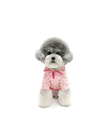 FLOWER HALF ZIPUP-PINK(반집업)