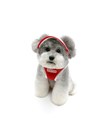 KINI ORIGINAL LOGO MESH CAP_RED(메쉬모자)