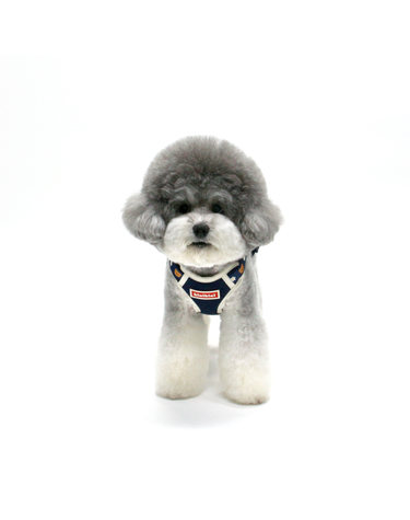DOT FLOWER BEAR MESH HARNESS-NAVY(메쉬하네스)