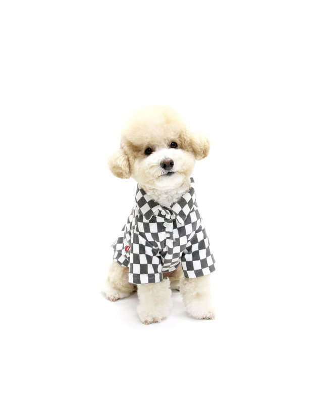 키니키니 CHECKERBOARD COLLAR TSHIRT-GRAY(카라티) 착용컷