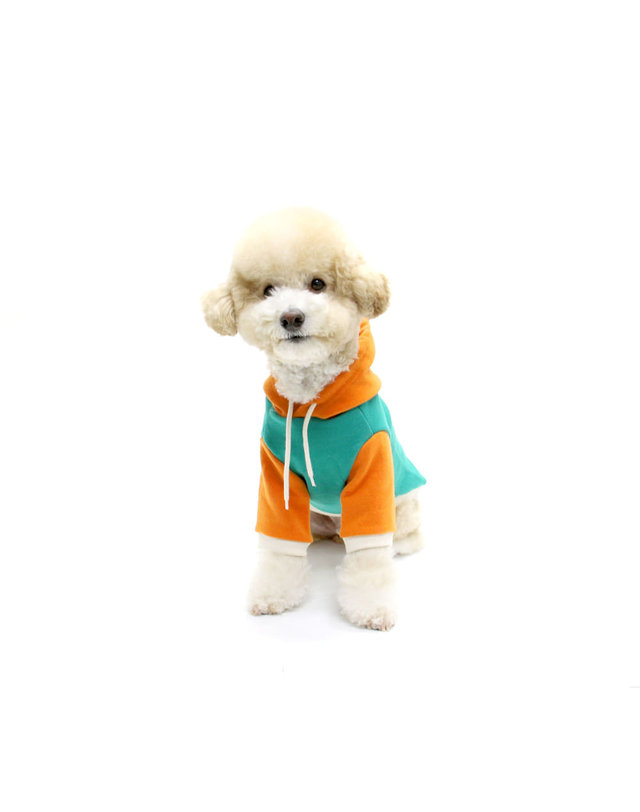 키니키니 WE ARE KINI HOODIE-GREEN(후드) 착용컷