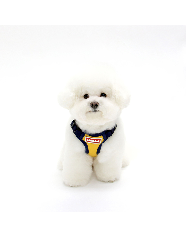 키니키니 SIGNATURE LOGO MESH HARNESS-YELLOW(메쉬하네스) 착용컷