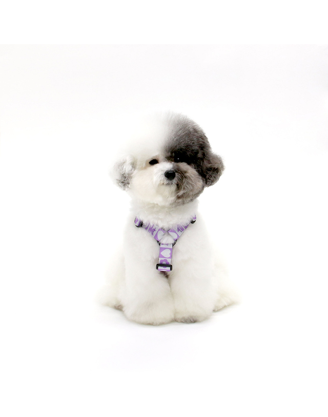 키니키니 KINI SMILE CHECK HARNESS_PURPLE(H형-하네스) 착용컷