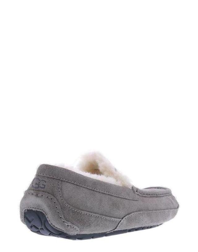 어그 [해외직구] UGG 애스콧 슬립온 로퍼 1101110 GREY TP979688056 착용컷