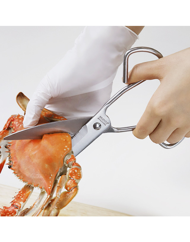 리본제이 무디타 올스텐 일체형 주방가위 21cm / 고기가위 캠핑가위 스텐가위 착용컷