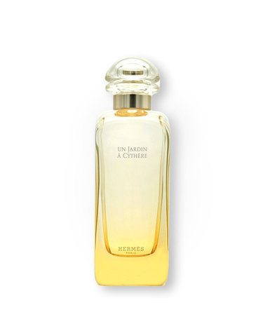 에르메스 운 자르뎅 아 시테르 EDT 100ml