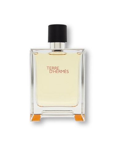 에르메스 떼르 데르메스 EDT 100ml