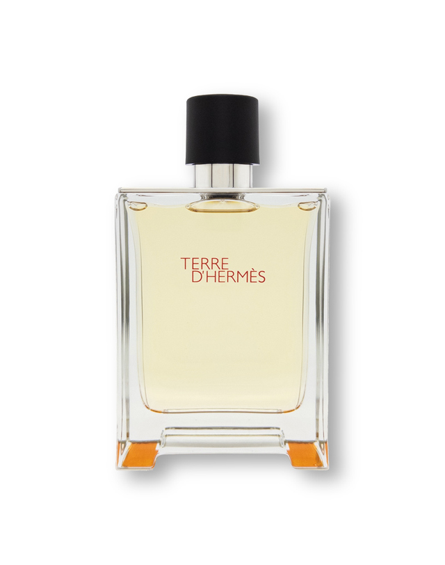 에르메스 에르메스 떼르 데르메스 EDT 100ml 착용컷