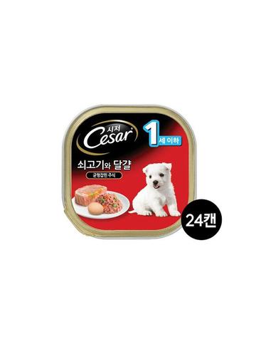 시저 강아지캔 1세이하 쇠고기와 달걀 100G 24캔