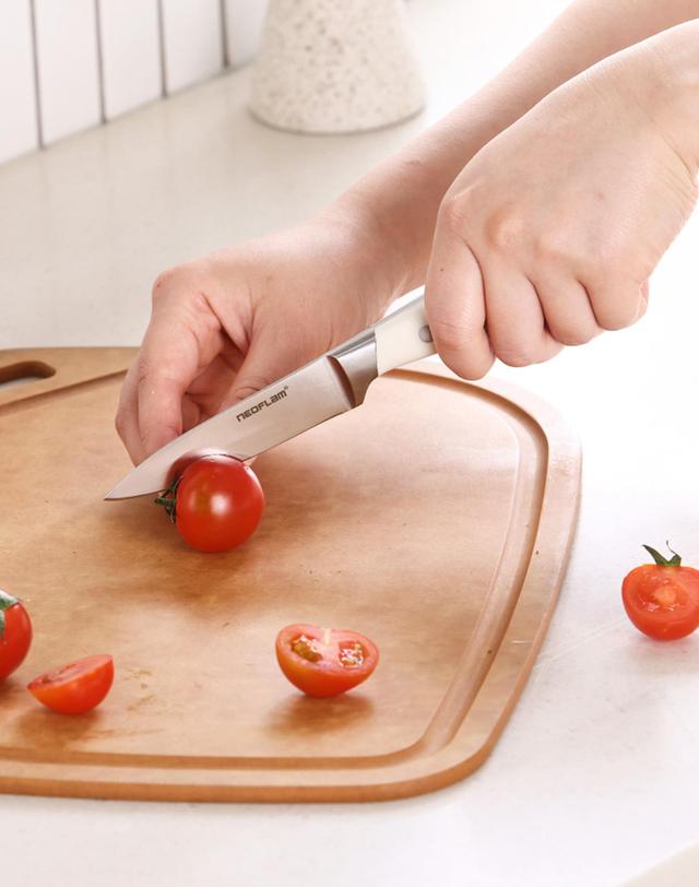 네오플램 네오플램 클래식 항균 칼 과도S 착용컷