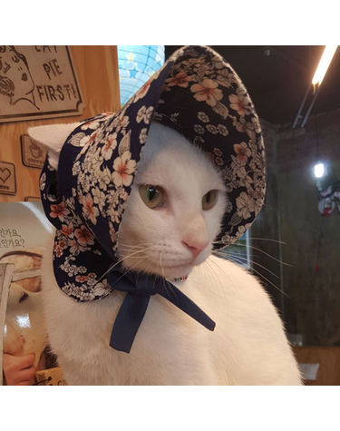 천송이 바나썬캡 강아지 고양이 썬캡 모자 아소비진