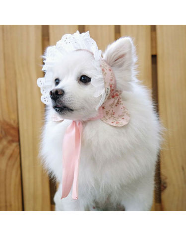 미니장미 요나보닛 강아지 고양이 모자 아소비진