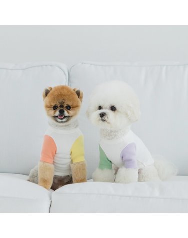 곰돌이 플러피 배색 강아지티셔츠 루앤담 봄 가을