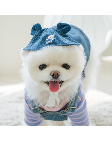 곰돌이 데님 강아지모자 펫츠앤미