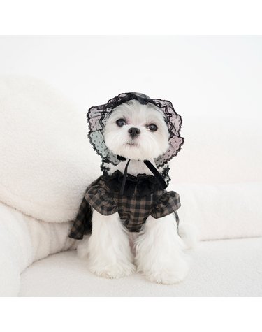리틀 프린세스 강아지 보닛 모자 마이리틀독