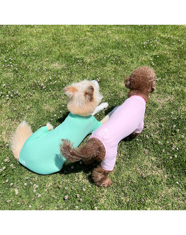 파스텔 강아지쿨링올인원 여름 자외선차단 강아지옷 7color