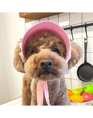 핑크 체크 레이스 강아지모자 썬캡