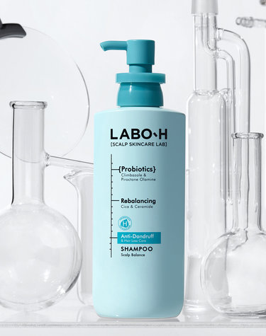 [NEW신상품] 댄드러프클리닉 샴푸 탈모증상완화 400ml 1입