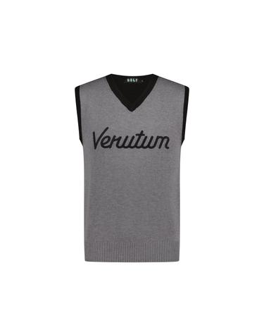 V-Neck Knit VestㅣMenㅣGrey