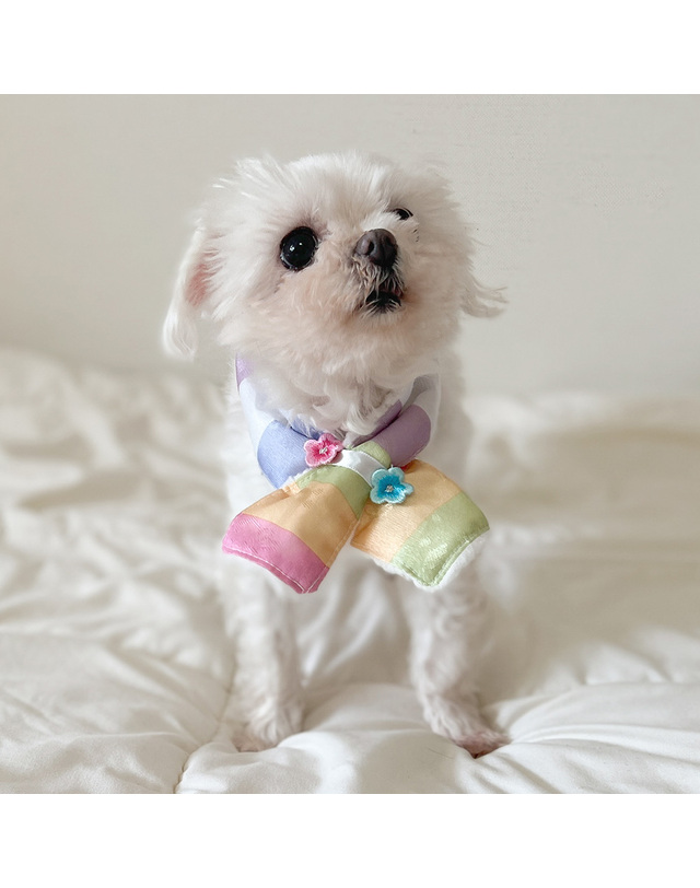 댕댕이가게 핸드메이드 강아지 애견 한복 케이프 목도리 착용컷