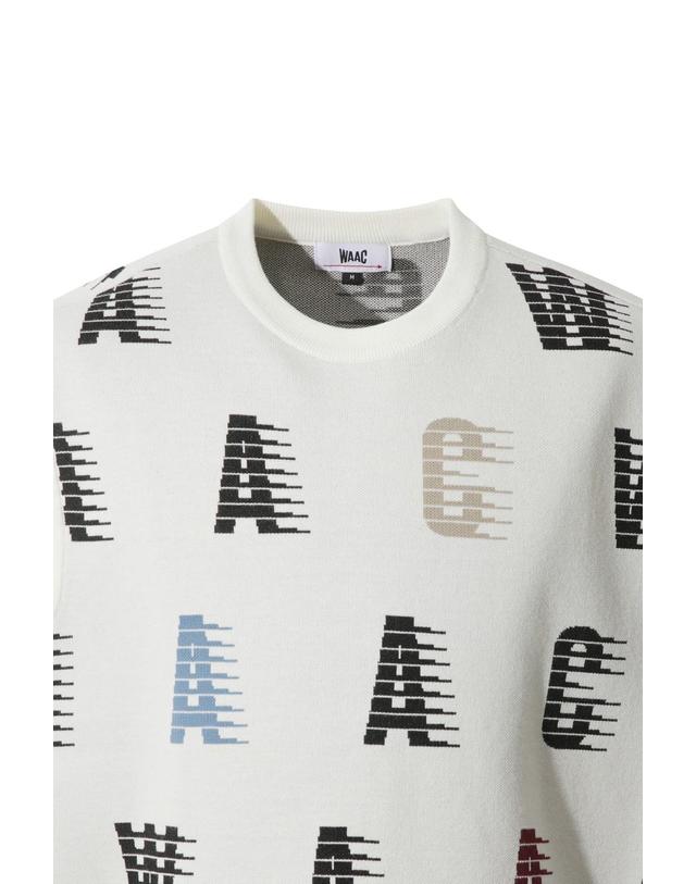 왁 [WAAC] Men Colored WAAC Knit Vest WMWAA25602IVX 착용컷