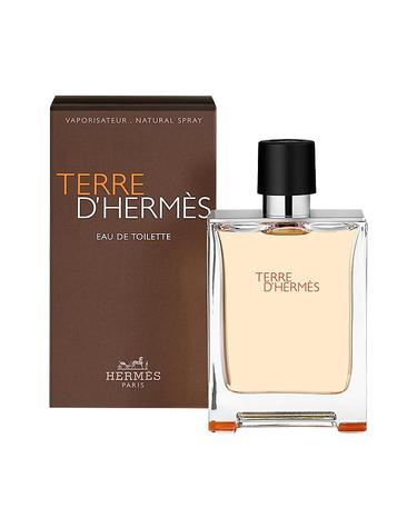 에르메스 떼르 데르메스 EDT 100ml