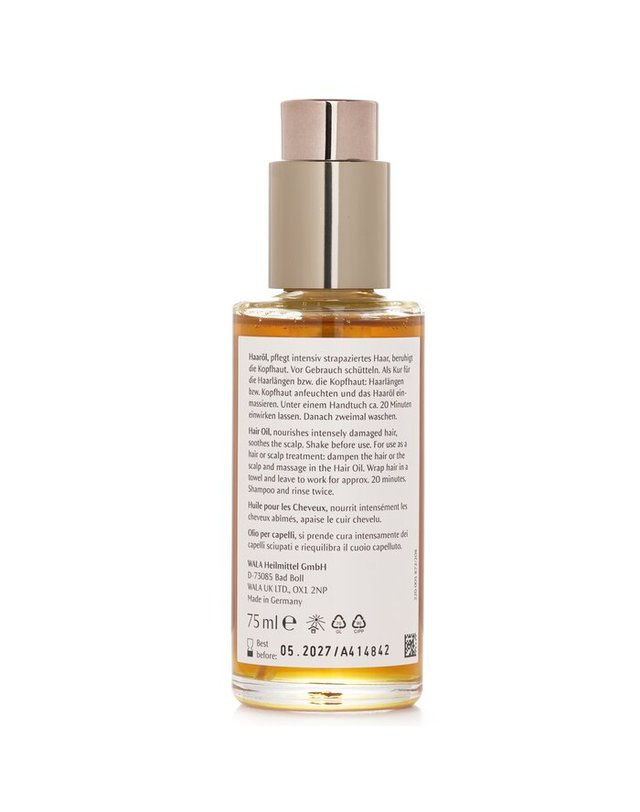 닥터브란트 닥터 하우쉬카 헤어 오일 75ml 착용컷