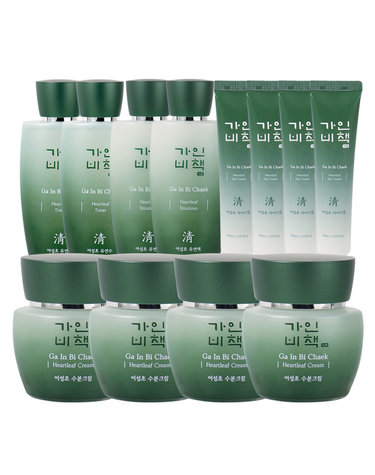 가인비책 청 어성초.약모밀 12종 풀 패키지 (스킨2+로션2+크림4+아이크림4)