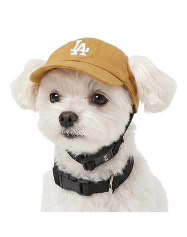 MLB 펫 루키 볼캡 72PEC1111-07D