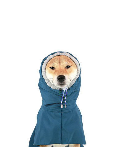 [서울펫]OUTDOOR RAINCOAT [greenblue]
