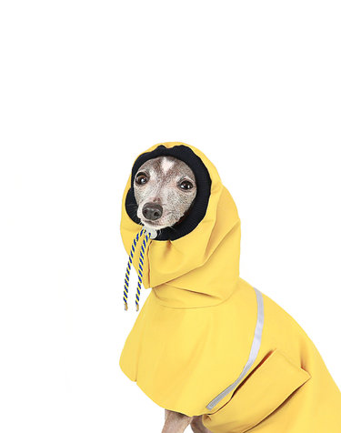 [서울펫]OUTDOOR RAINCOAT [mustard]