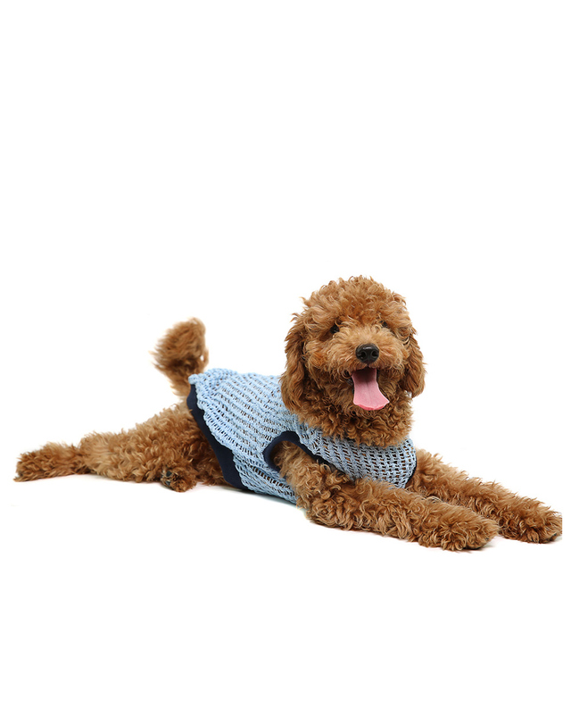 서울펫 [서울펫]WAVY TOP [skyblue] 착용컷