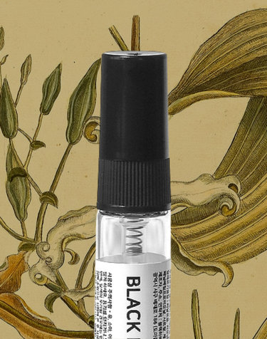 [3+1] 바닐라향 10종 블랙하비 고농축 드레스퍼퓸 4ml