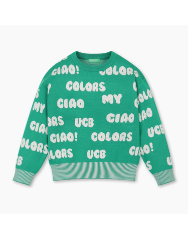 컬러 레터링 니트 풀오버_QAKP04611GN