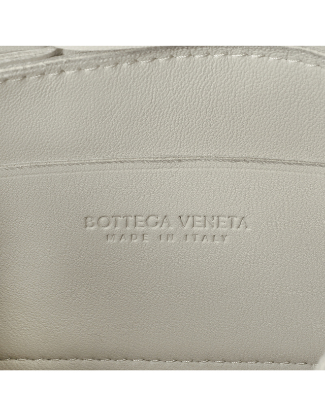 보테가 베네타 [보테가베네타 BOTTEGA VENETA] 666688 VMAY1 9009 여성 숄더백 착용컷