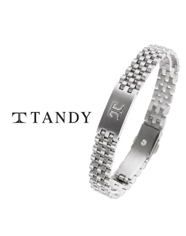 탠디(TANDY) 테라슬릿 팔찌 TH703 실버 10mm