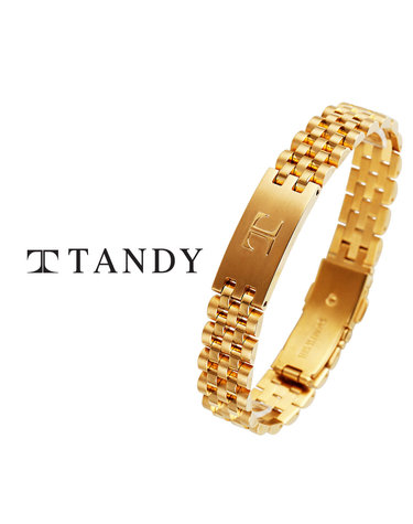 탠디(TANDY) 테라슬릿 팔찌 TH702 골드 12mm