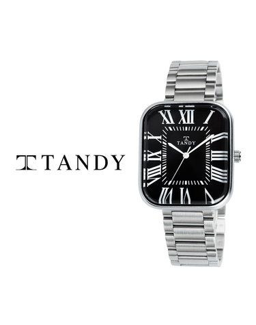 TANDY 탠디 클래식 커플 메탈 손목시계 T-3923 남자 블랙