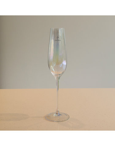 티니블랑 샤인 샴페인 글라스잔 235ml