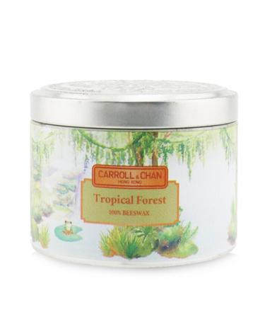 The Candle Company (Carroll & Chan) 100% 비왁스 틴 캔들 트로피컬 포레스트 (8x6) cm