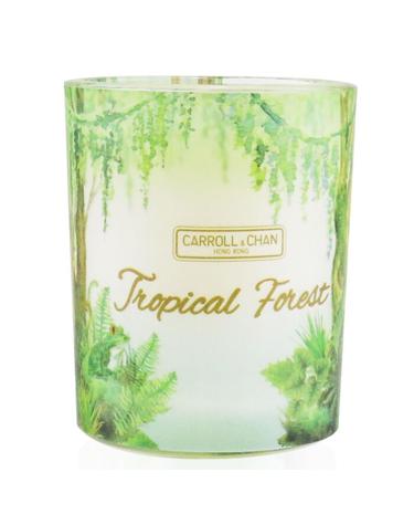 The Candle Company (Carroll & Chan) 100% 비왁스 보티브 캔들 트로피컬 포레스트 65g