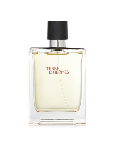 에르메스 떼르 데르메스 EDT 100ml/관세별도