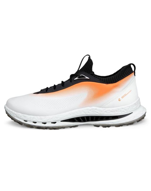 에코 [갤러리아] ECCO 남성 골프화 바이옴 C5 GTX 132604-61921 착용컷