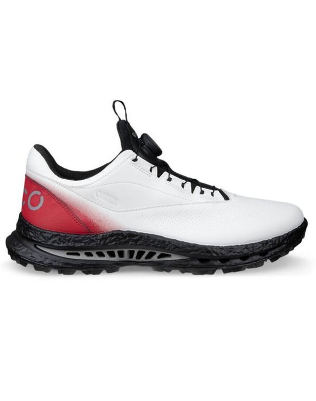 에코 [갤러리아] ECCO 남성 골프화 바이옴 C5 GTX 132614-55428 착용컷